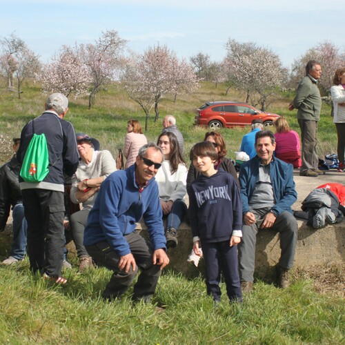 XXV Muestra almendro en flor (81)